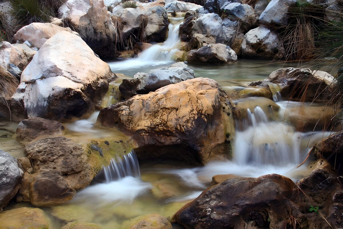 OCUK31242: Tranquil Stream in Nature