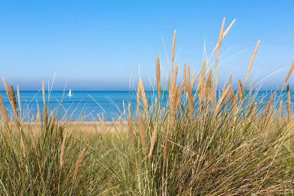 OCUK19389: Marram grass with a view on sea and sailing boat