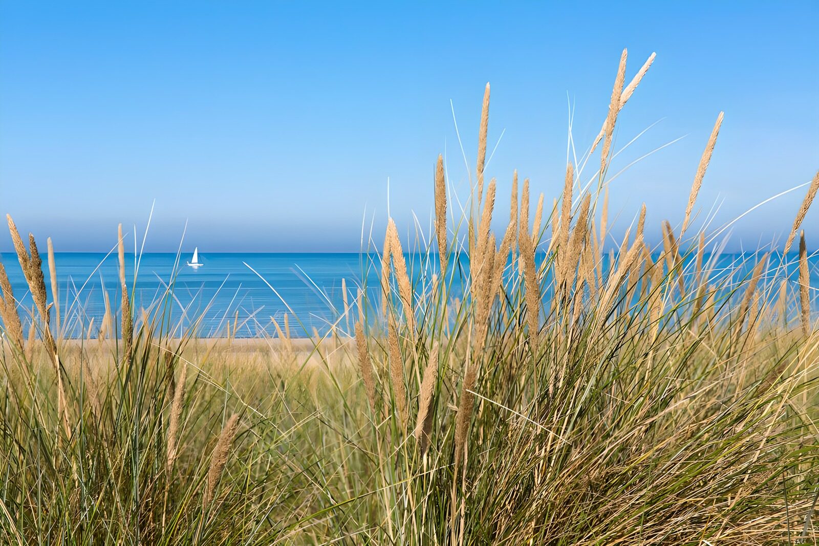 OCUK19389: Marram grass with a view on sea and sailing boat