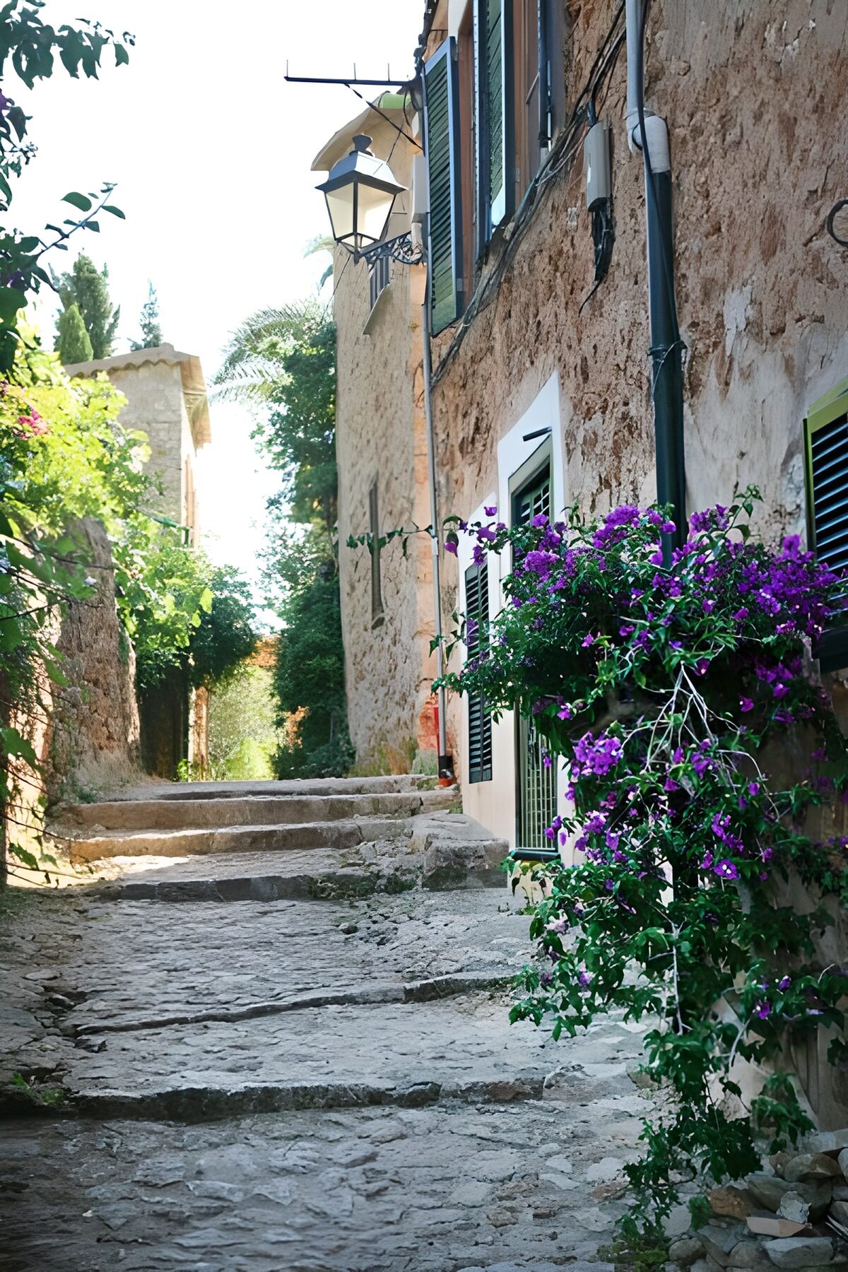 Steps going up through narrow street with houses 6