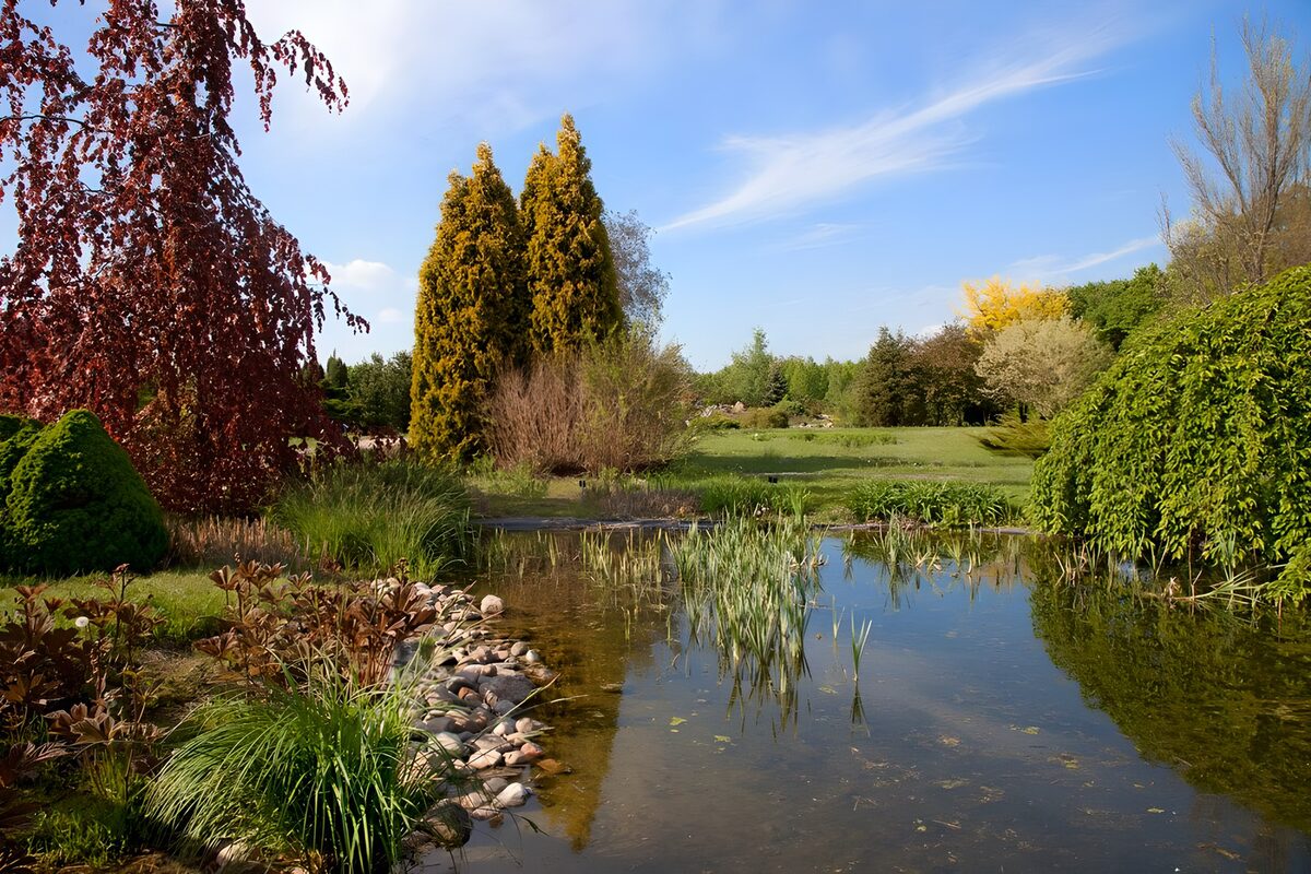 Serene Garden Reflection
