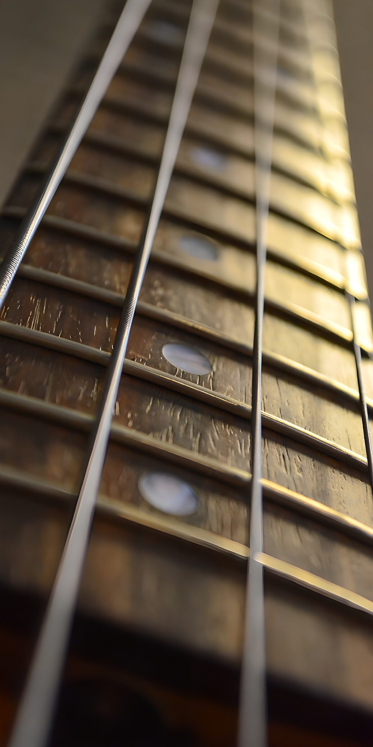 OCUK94597: Close-Up of a Guitar Neck