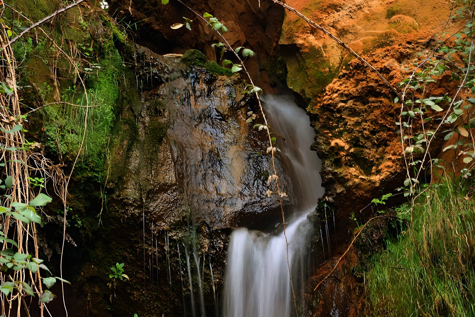 OCUK96880: Tranquil Waterfall Amidst Lush Greenery