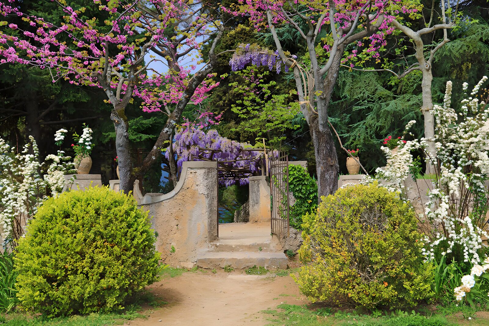 OCUK81676: Blossoming Garden Gate