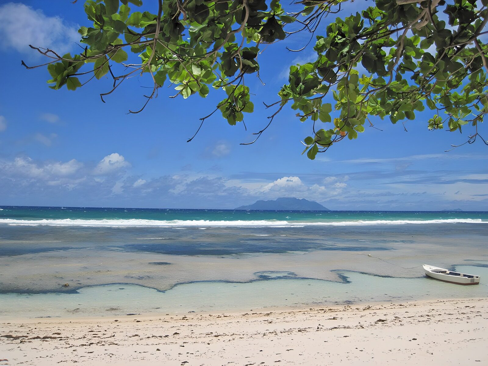 OCUK36720: Tranquil Tropical Shoreline