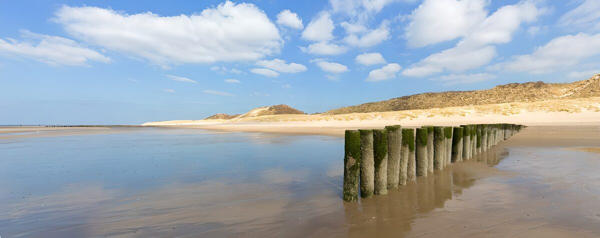 OCUK77034: Beach poles and dunes
