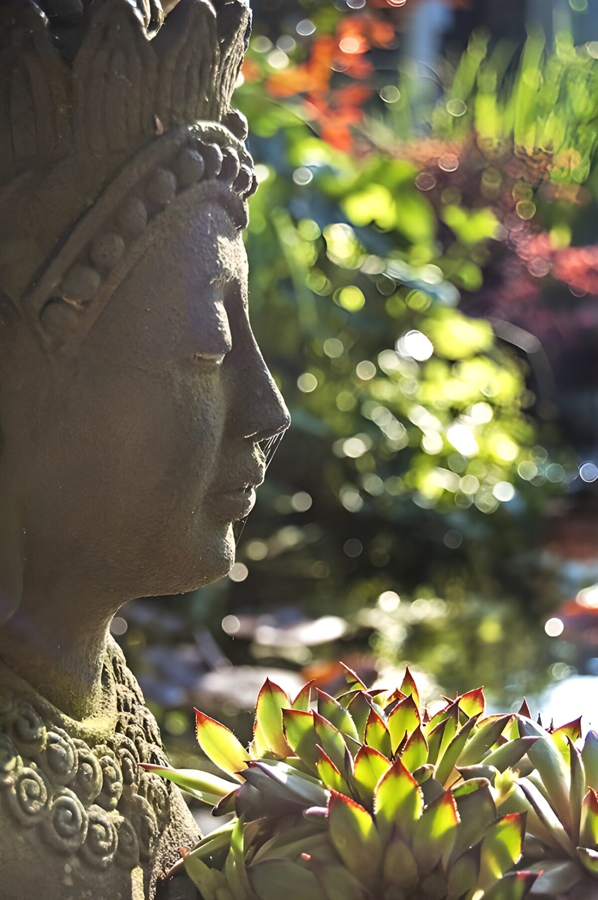 OCUK87686: Serene Buddha in Nature