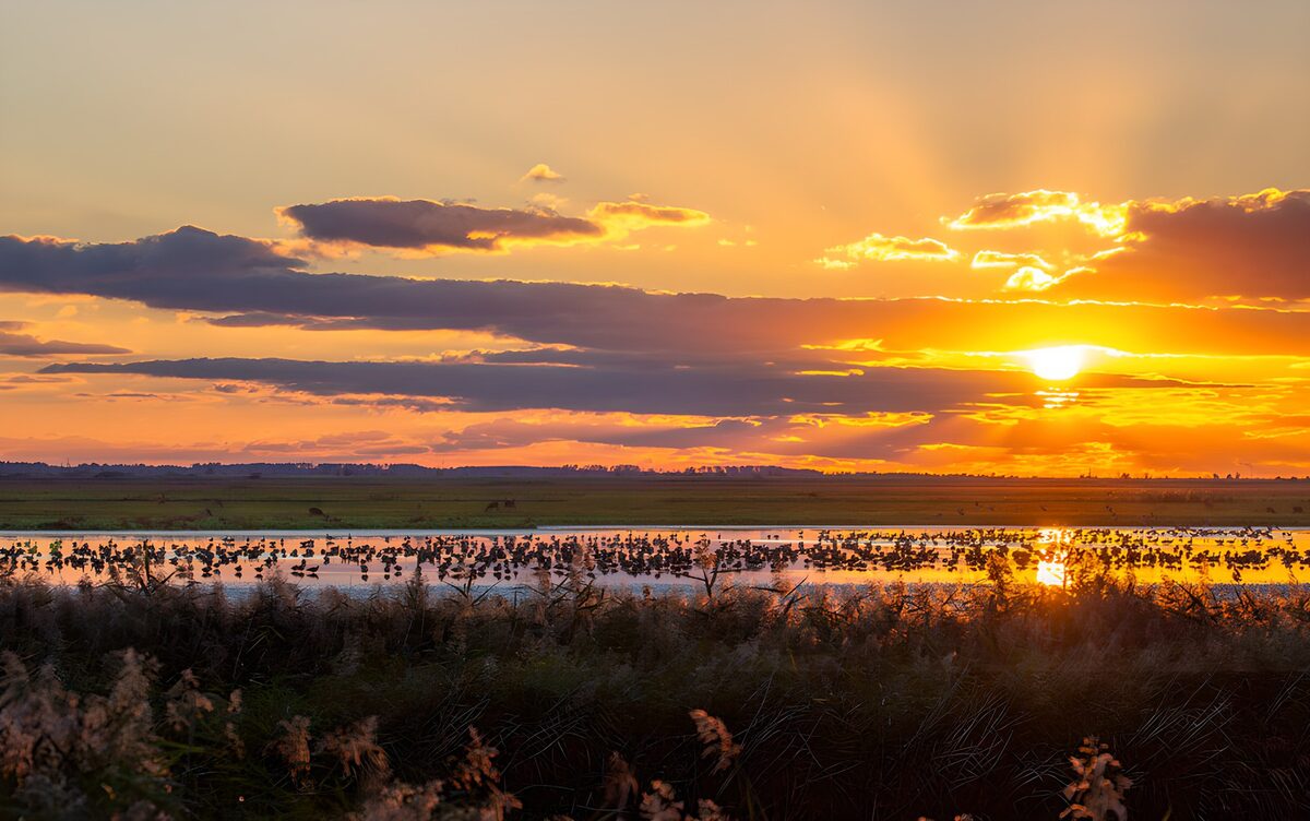 OCUK82558: Serene Sunset Over Marshland