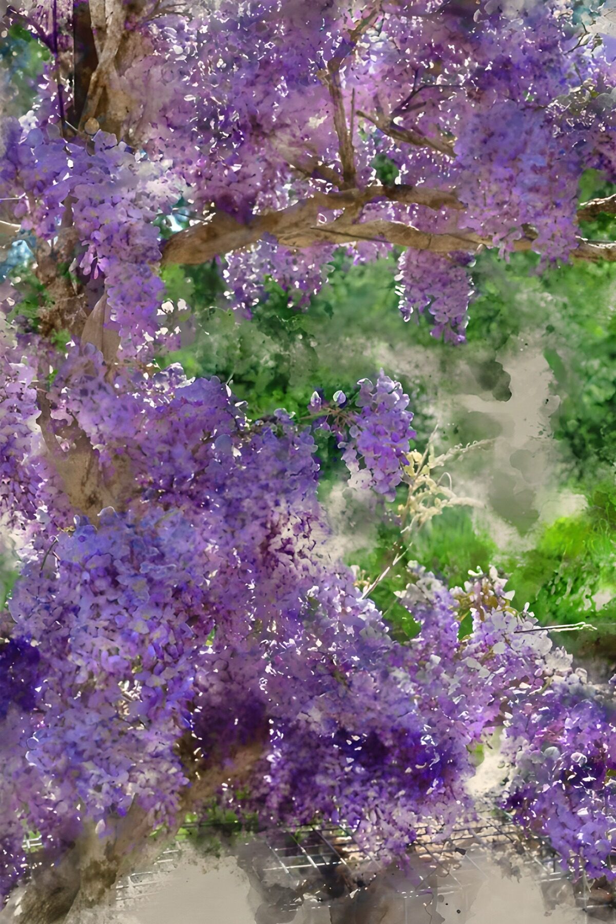 OCUK15465: Wisteria Blooms in Abstract Splendor