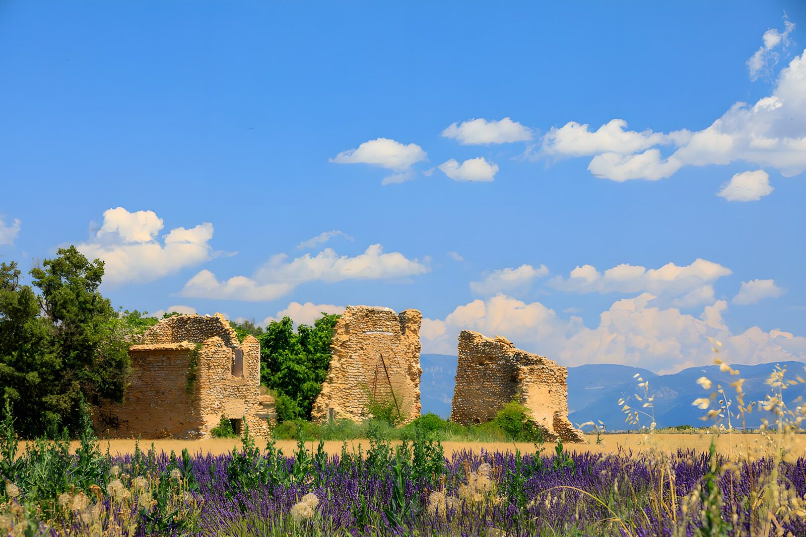 OCUK98713: Ancient Ruins Under a Bright Sky