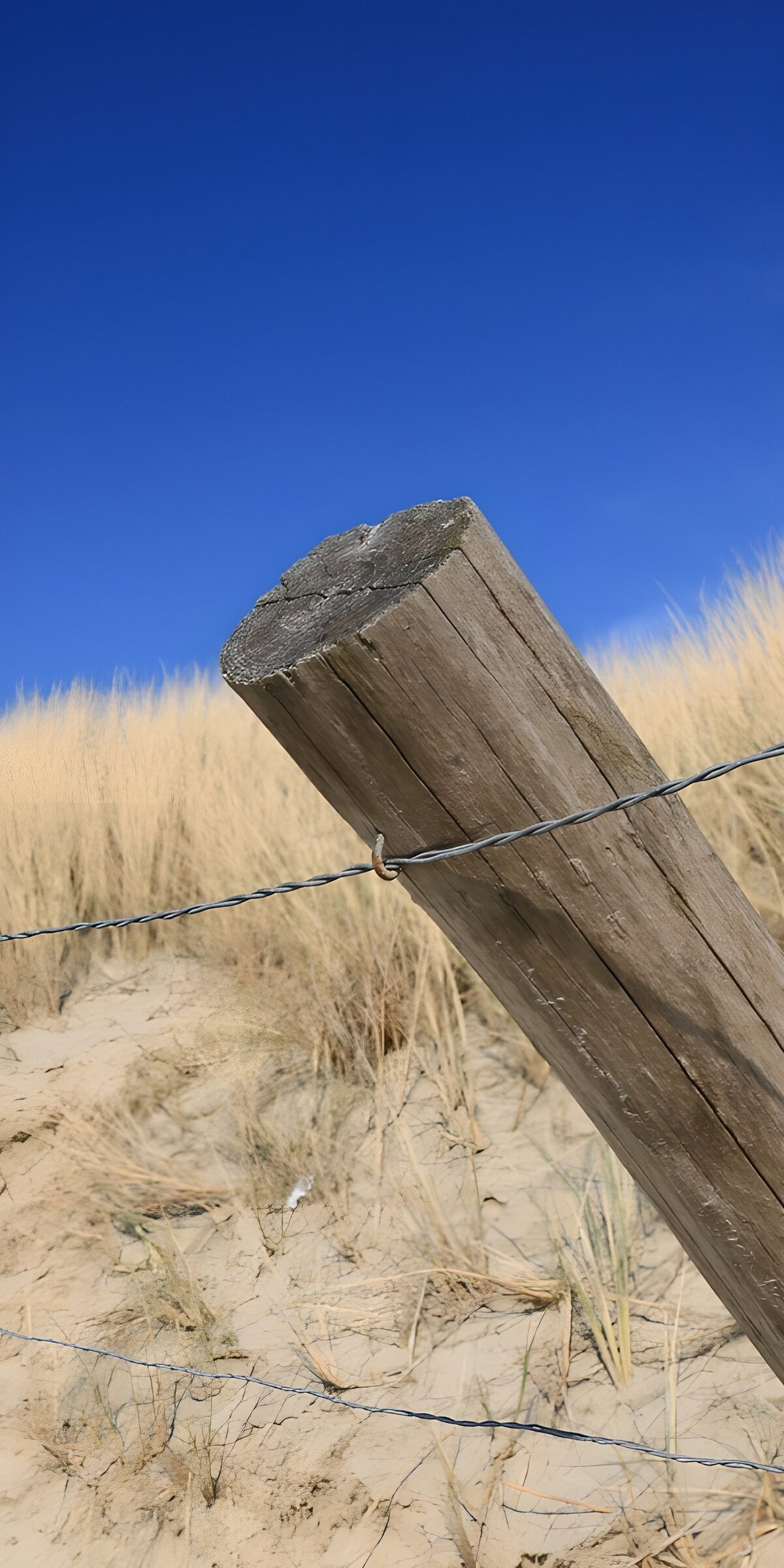 OCUK28385: Rustic Fence Post Against Clear Sky