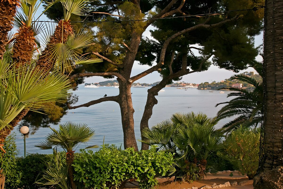 Tranquil Waters and Lush Greens