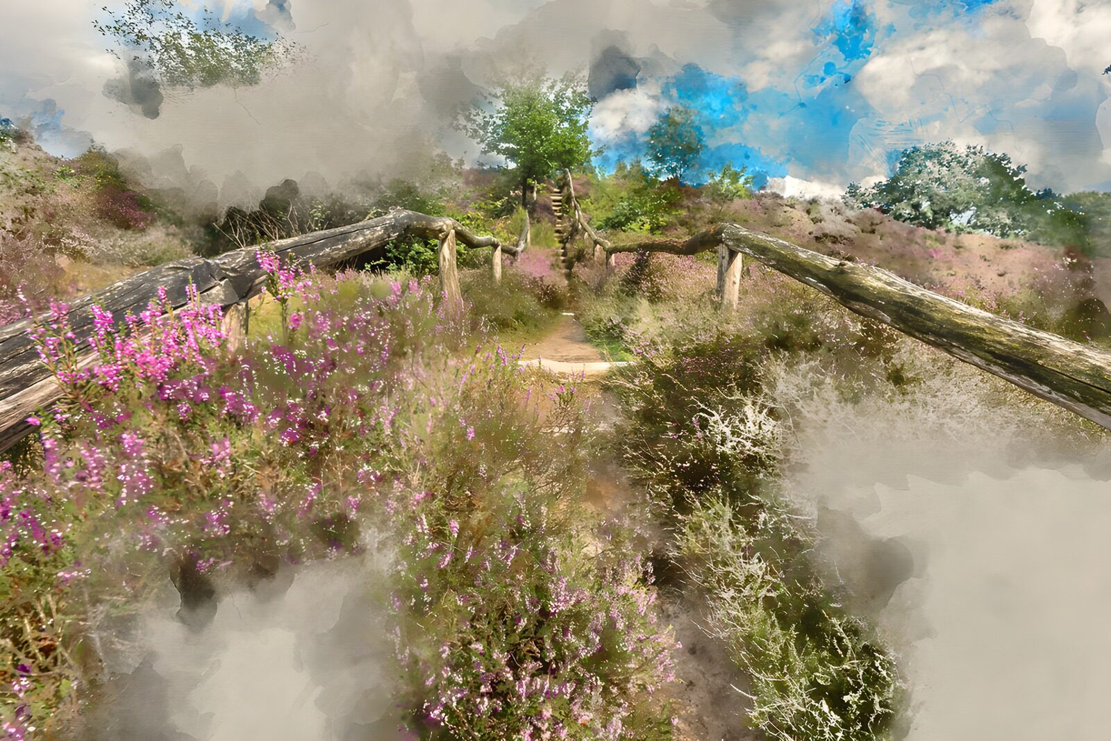 OCUK65976: Serene Path Through Blooming Heather