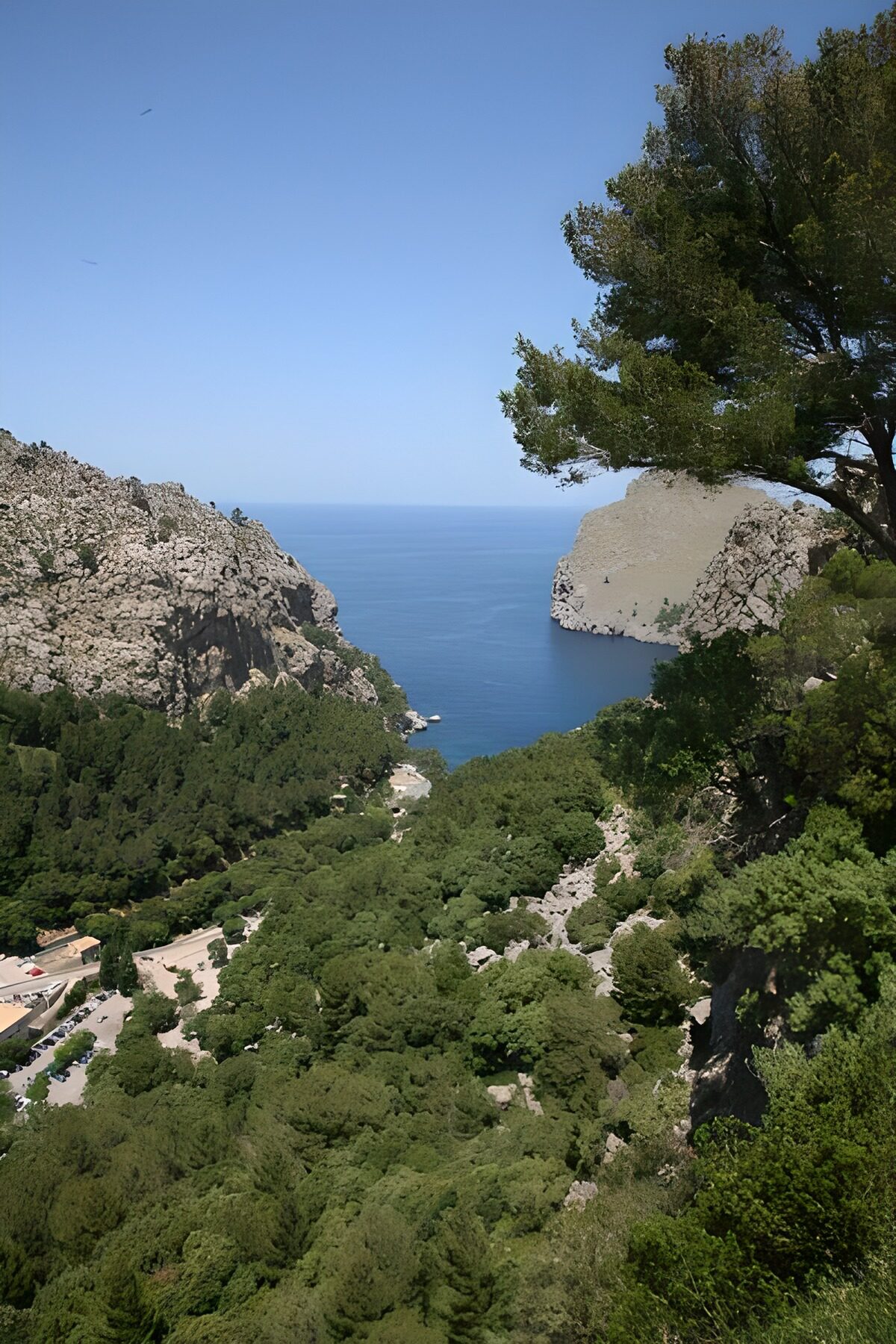 OCUK67756: Panoramiv view across the sea, tree and bushes 3