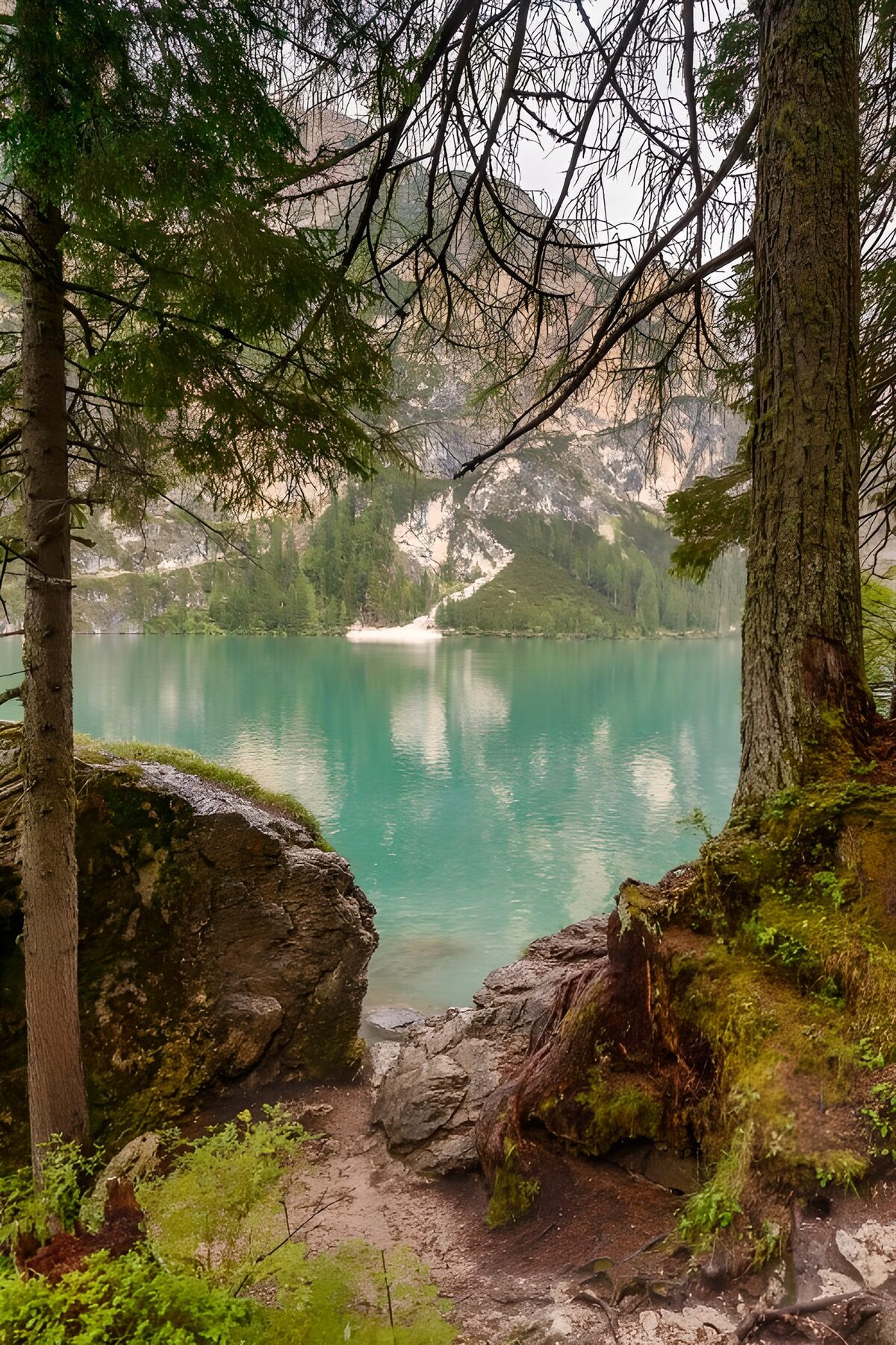 OCUK31317: Serene Lake View Through the Trees