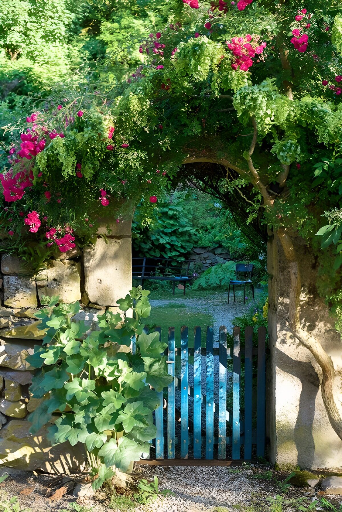 OCUK34925: Brick gate with blue fence overgrown with Bougainville