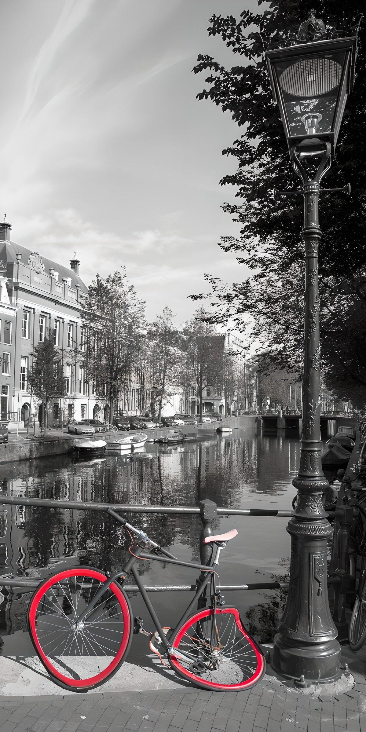 OCUK49516: Vibrant Bicycle by the Canal