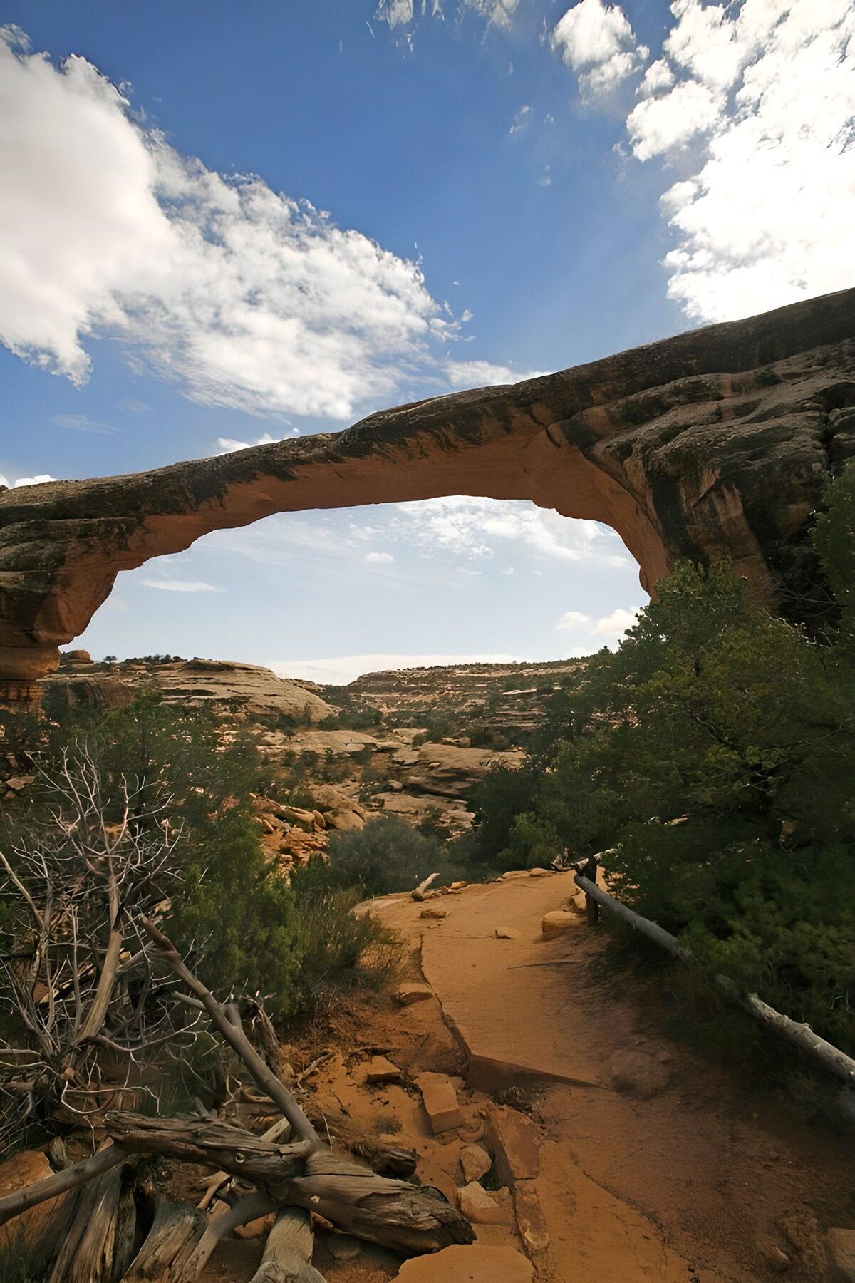 Natural Stone Arch in Scenic Landscape