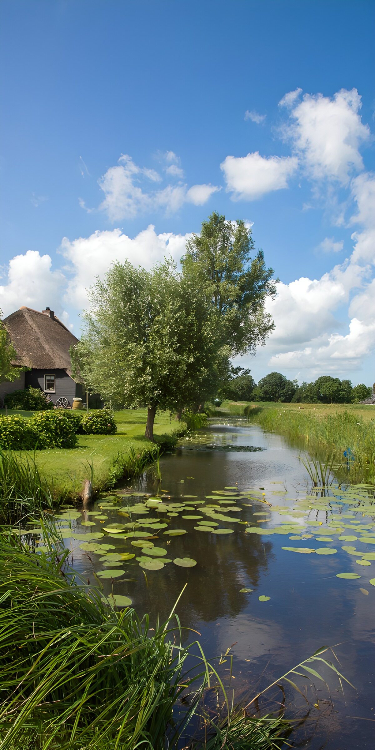 OCUK68609: Tranquil Country Scene
