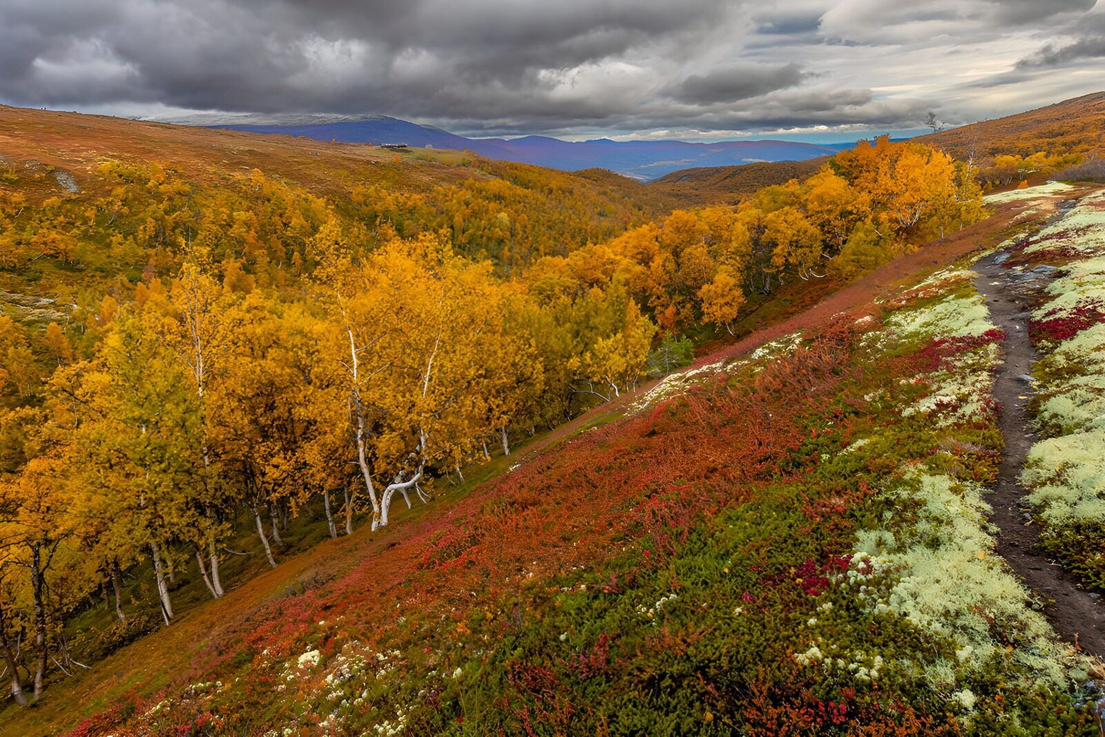 OCUK74788: Vibrant Autumn Landscapes