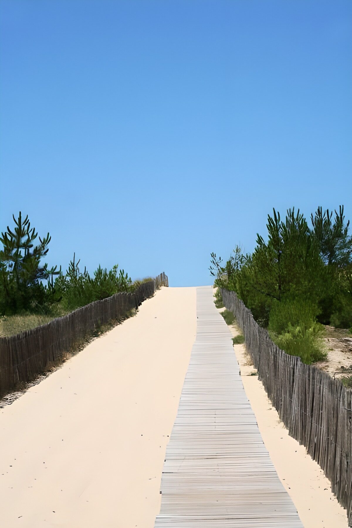 Wooden decking towards the sea