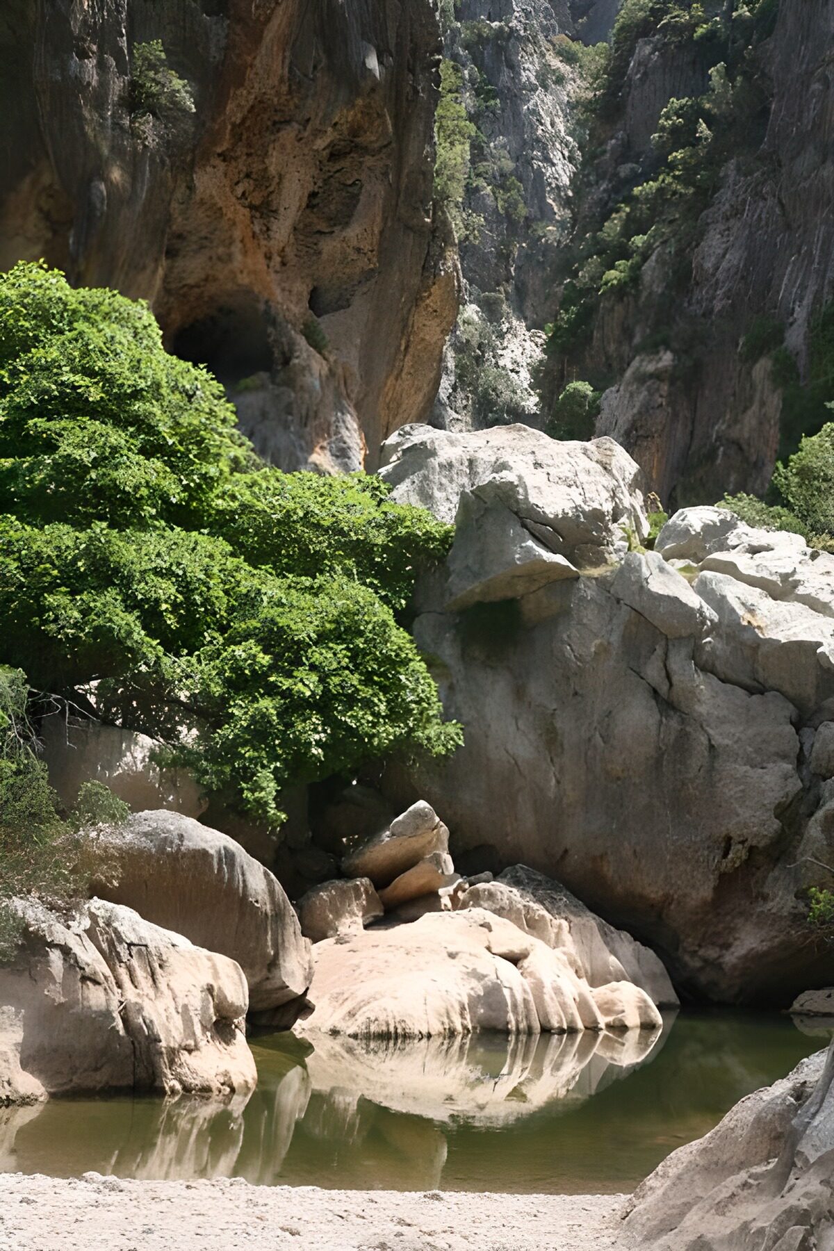OCUK79032: Well, river,rocks and trees 2