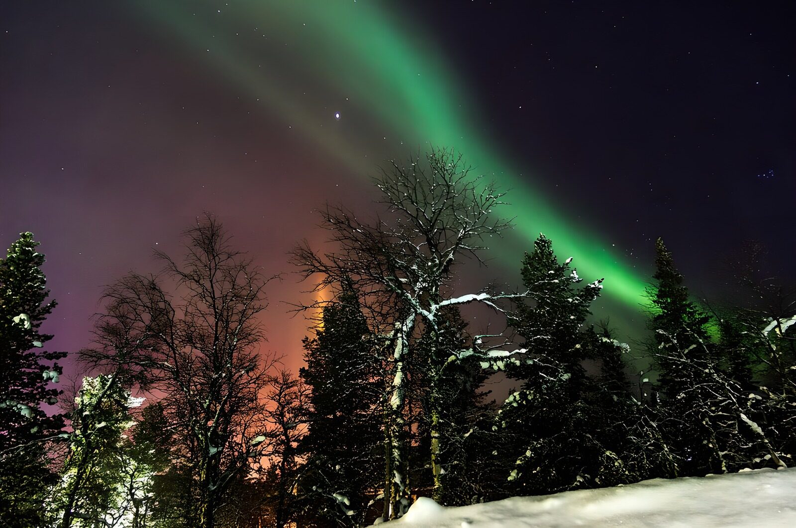 OCUK63640: Northern Lights Dance Over Snowy Forest