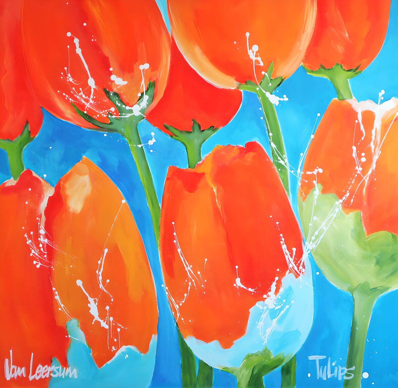 OCUK59515: Vibrant Tulip Blossoms in Abstract