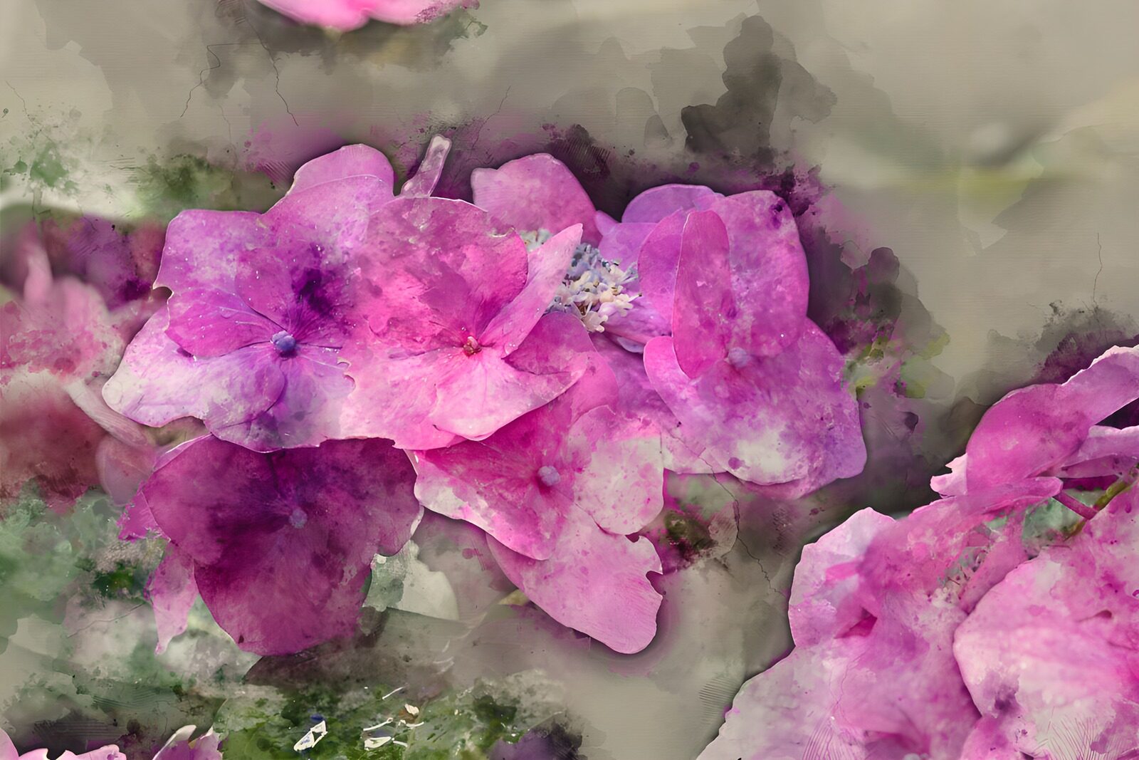 OCUK40068: Delicate Pink Blossoms in Watercolor