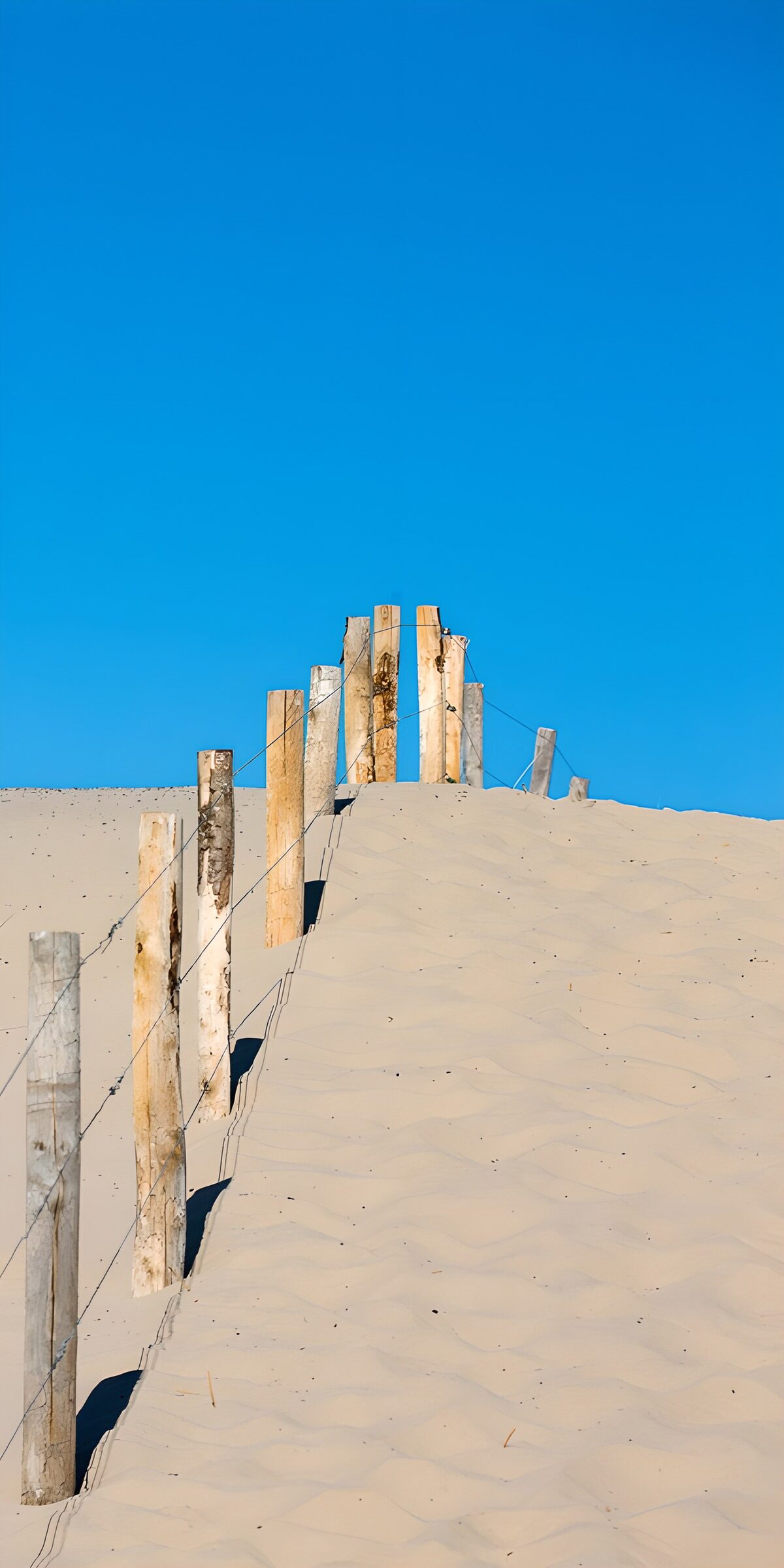 OCUK63757: Tranquil Dunes and Weathered Fence
