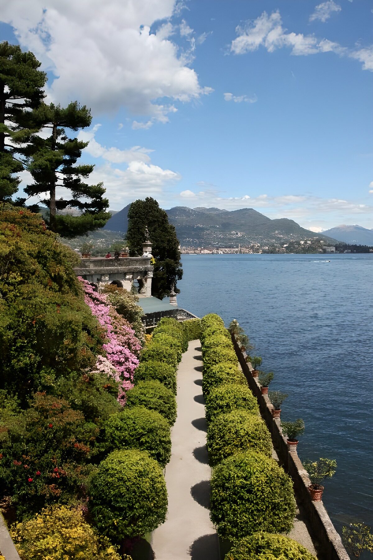 OCUK81137: Serene Lakeside Garden View