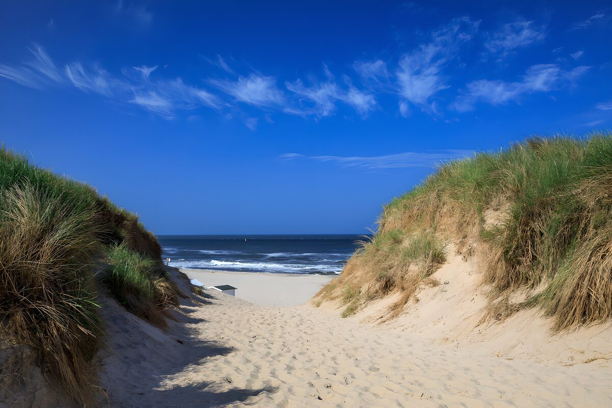 OCUK54966: Serene Beach Pathway