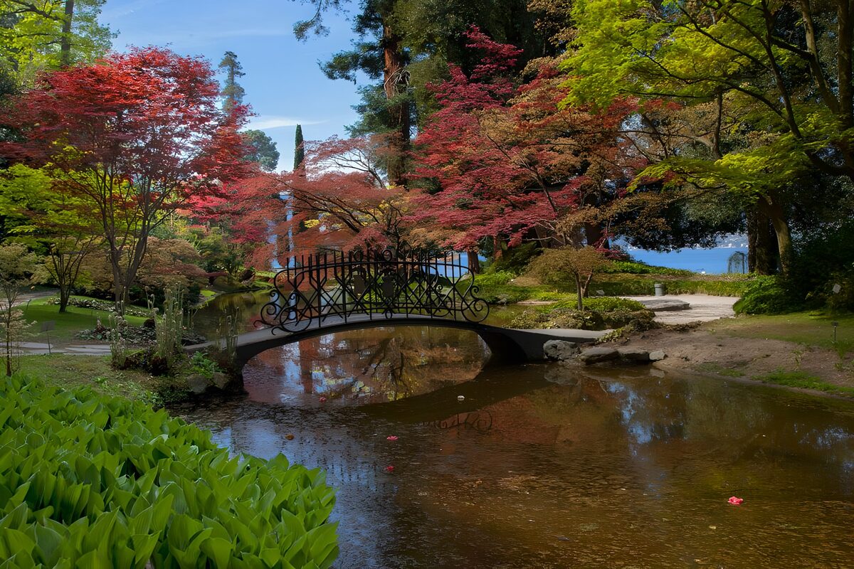 Pond with old bridge in a botanical garden