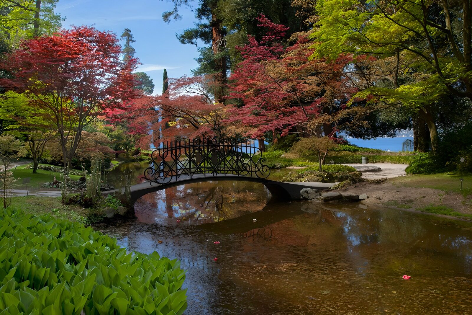 OCUK13395: Pond with old bridge in a botanical garden