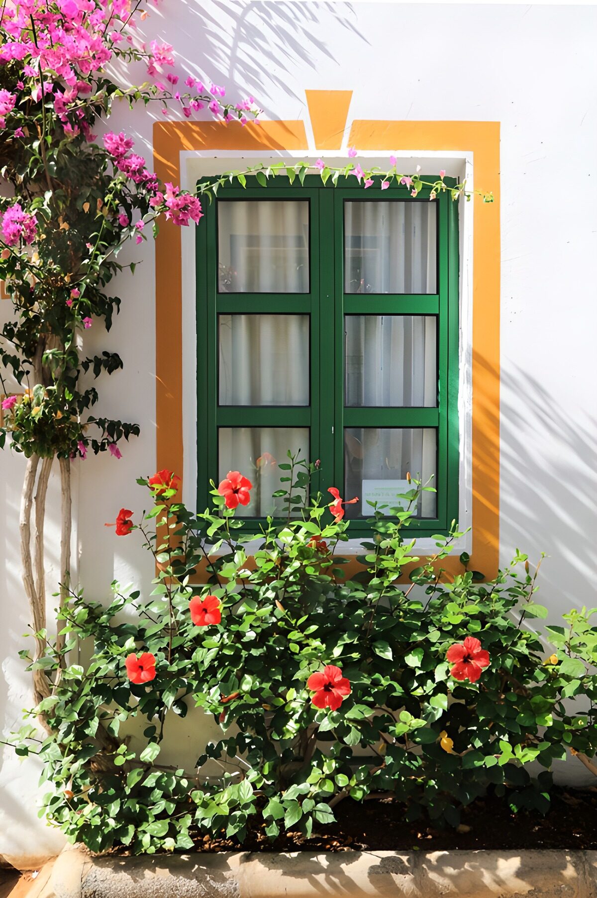 OCUK30982: Charming Colorful Window with Flowers