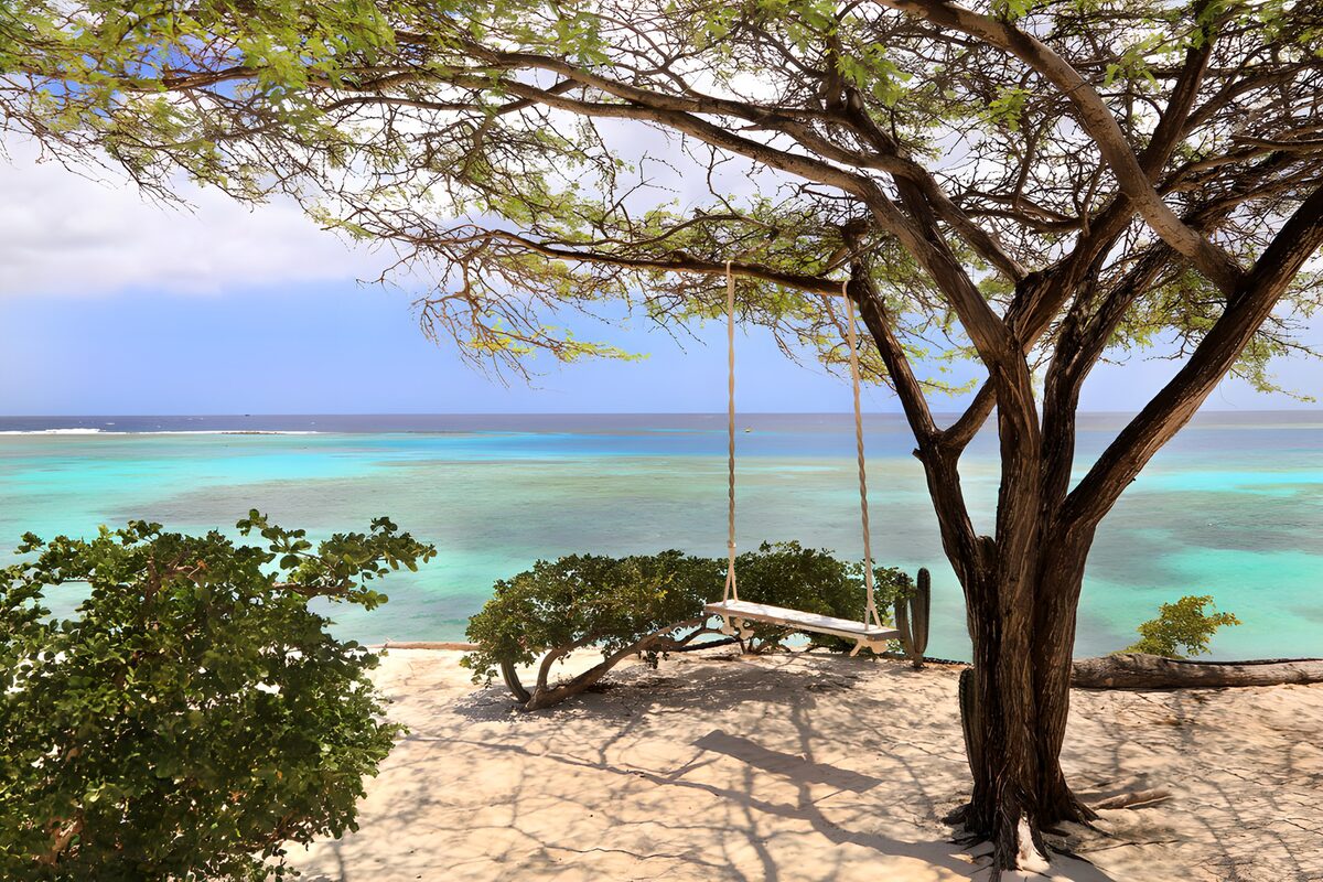 OCUK93957: Tranquil Beachside Swing