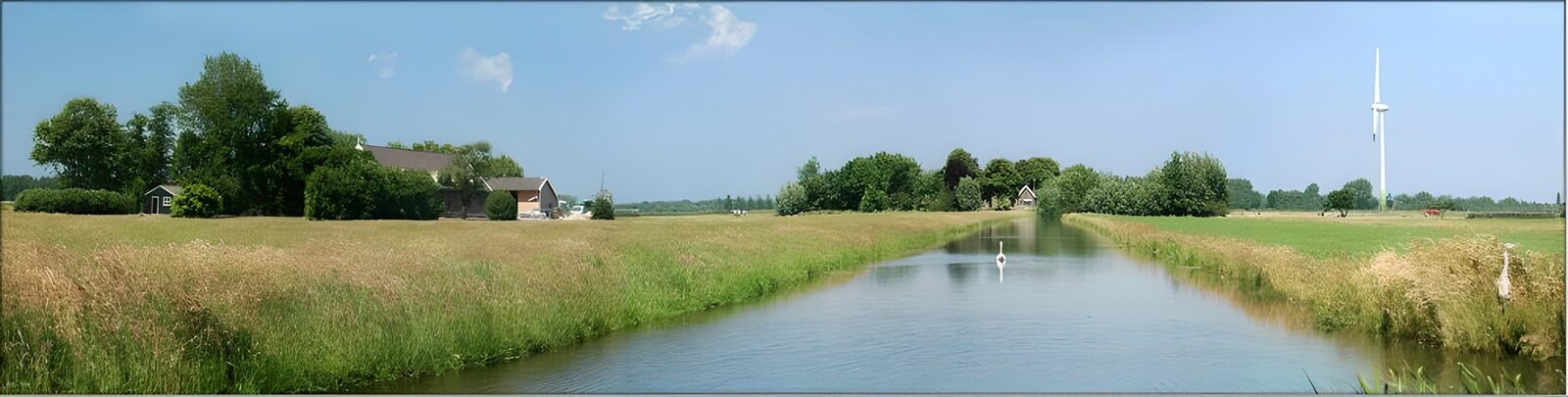 OCUK34023: Dutch meadow landscapes 10