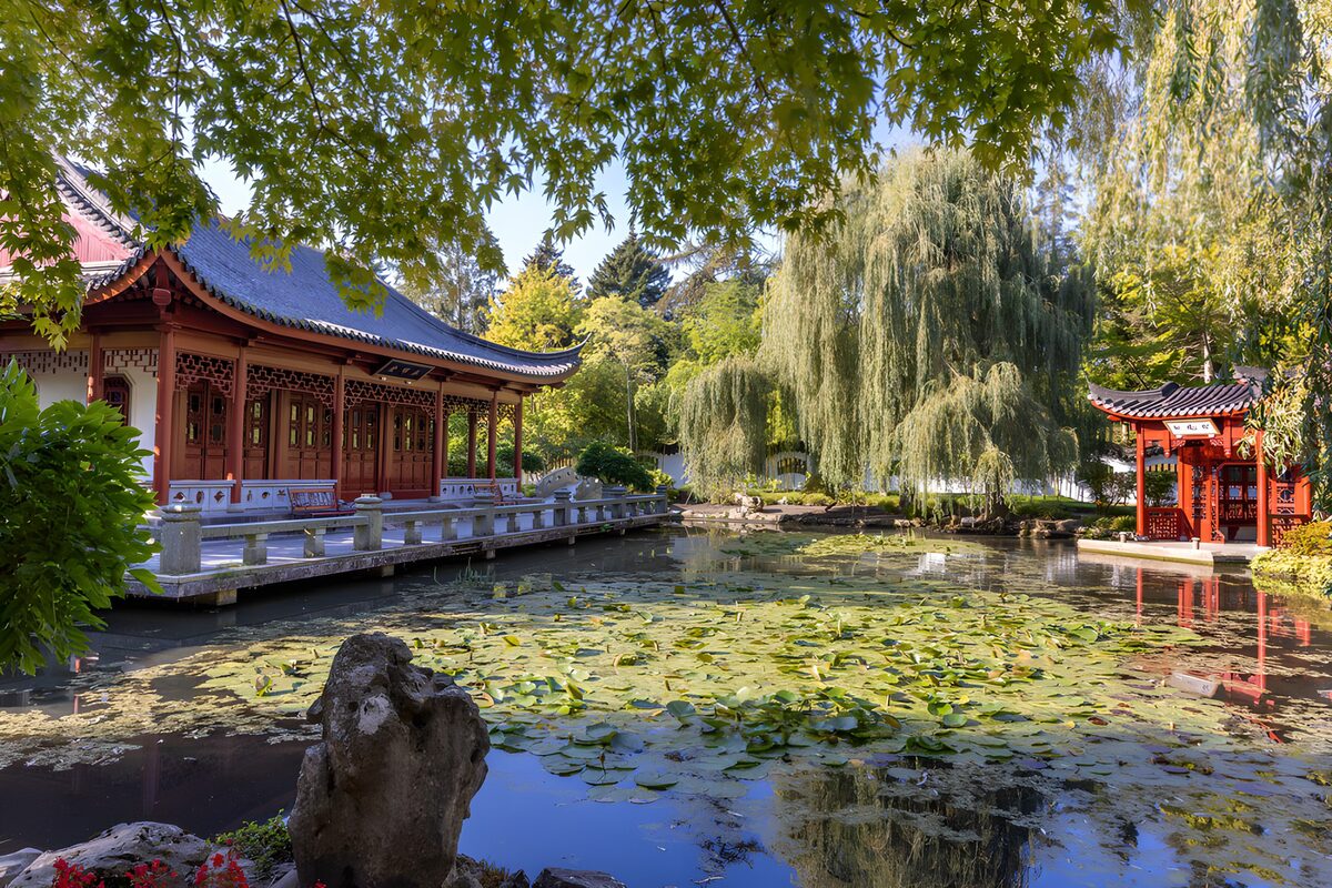 OCUK10335: Tranquil Japanese Garden Oasis