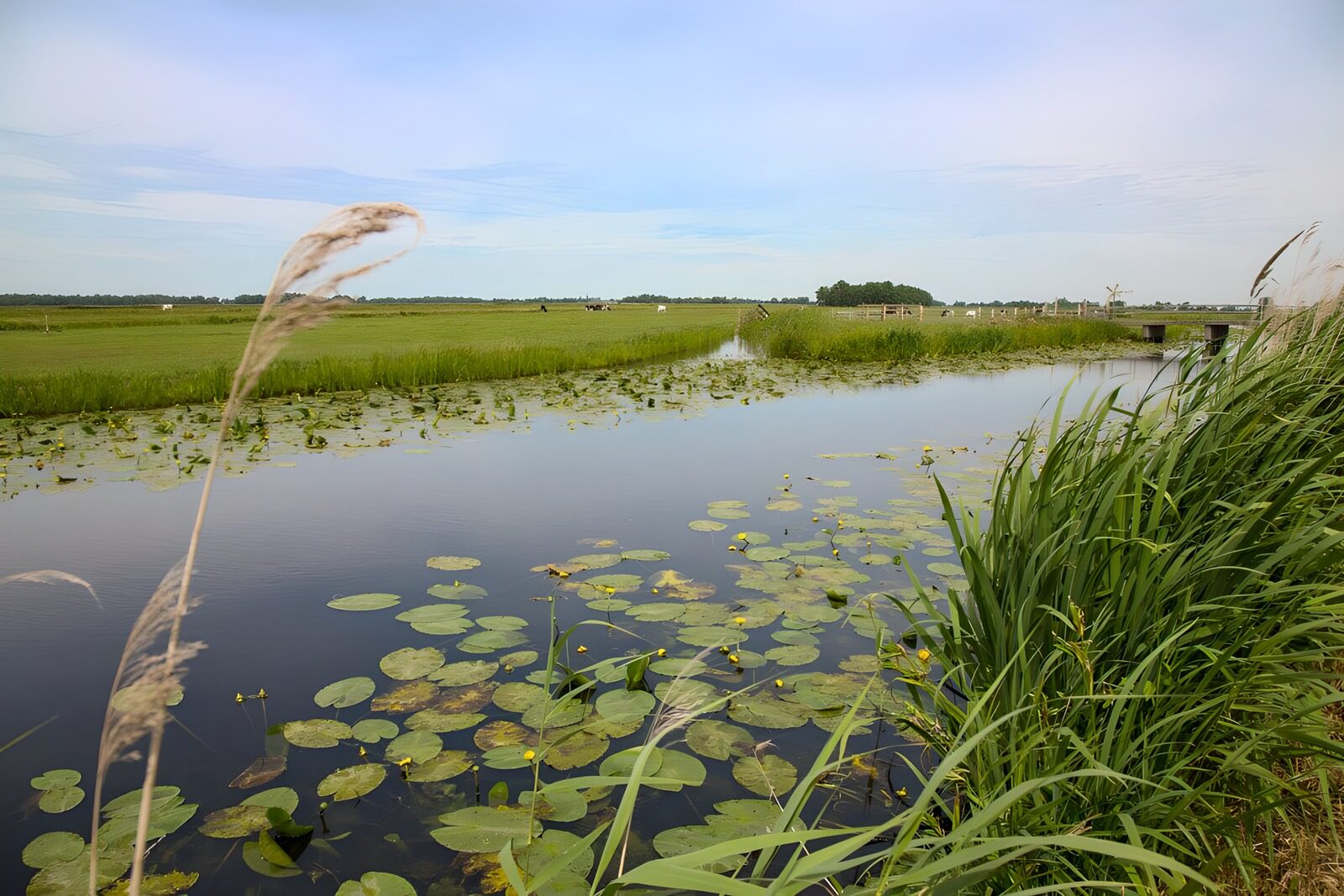 OCUK49850: Look at the canal