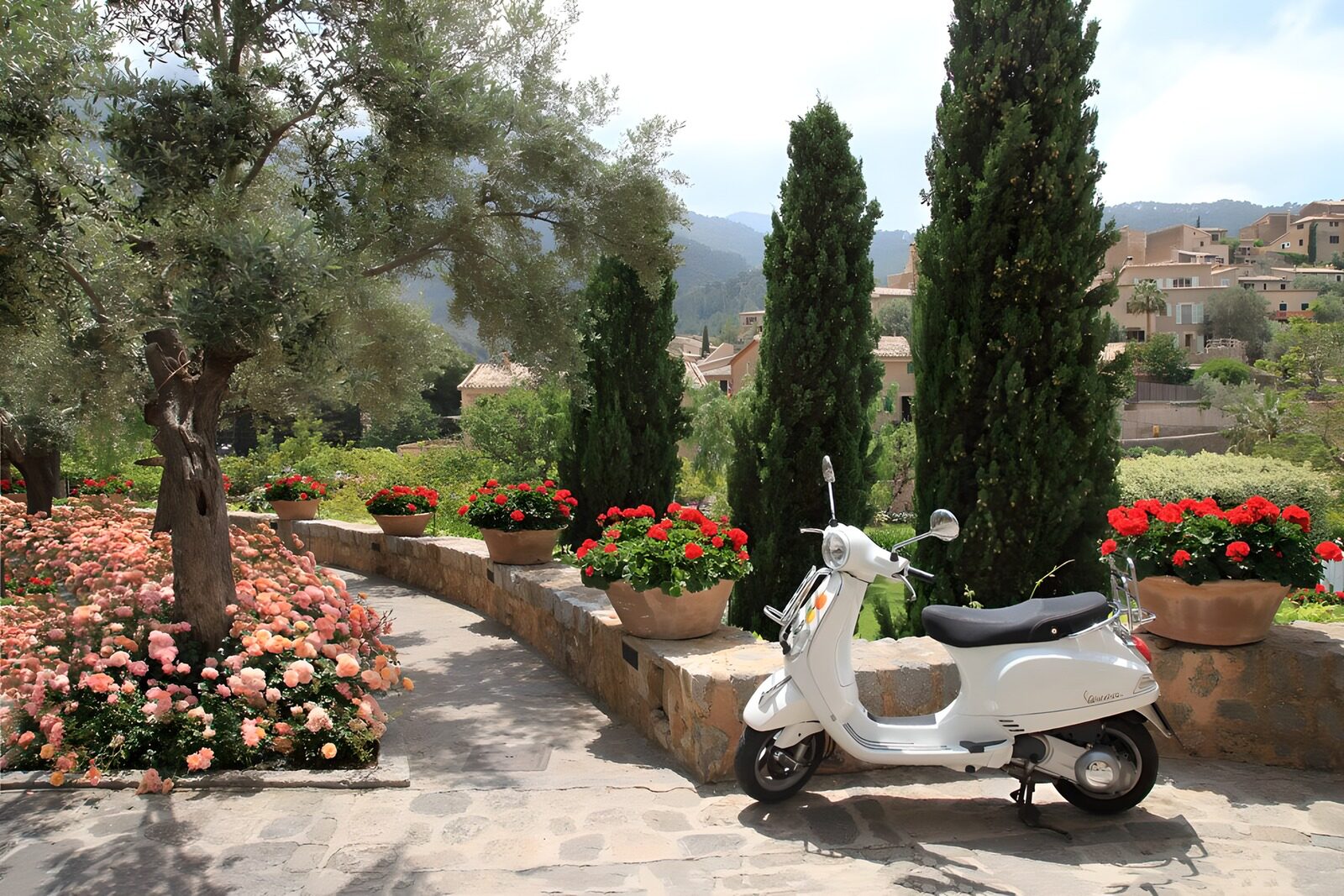 OCUK46527: Terrace with pink and red flowers, trees and a vespa