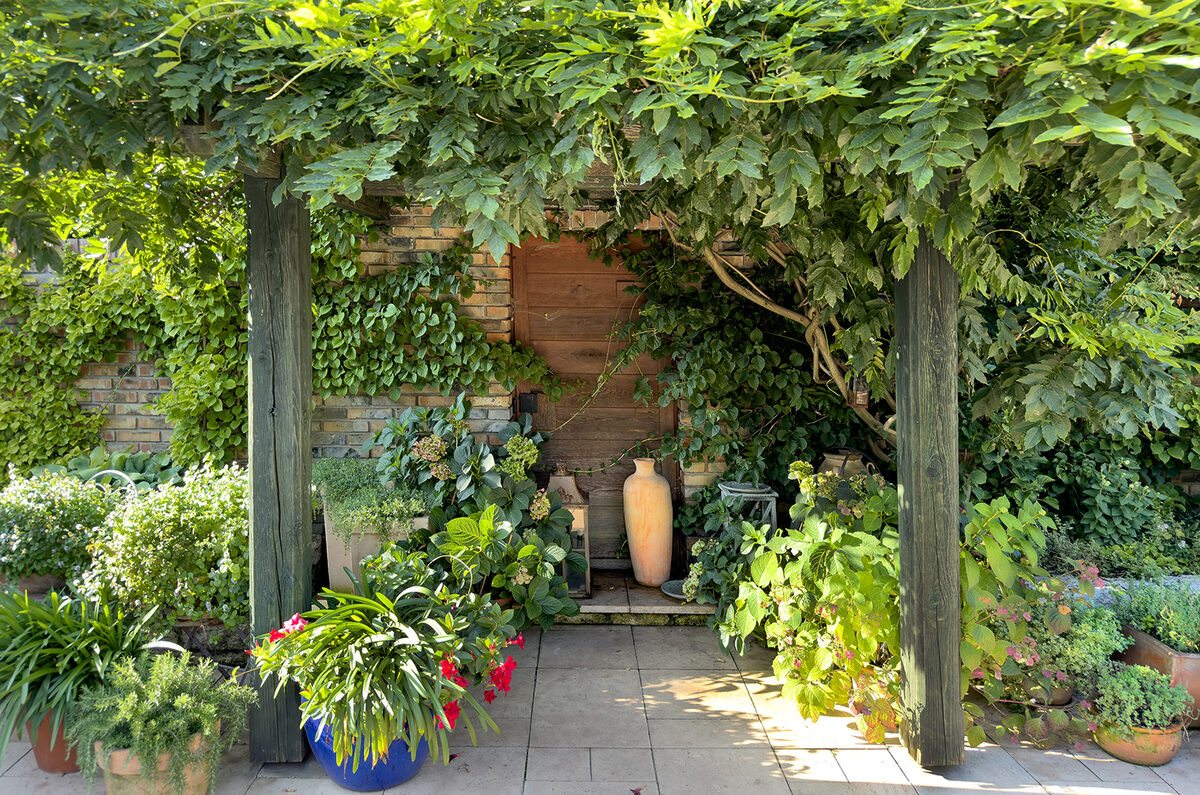 Lush Garden Pergola Entrance