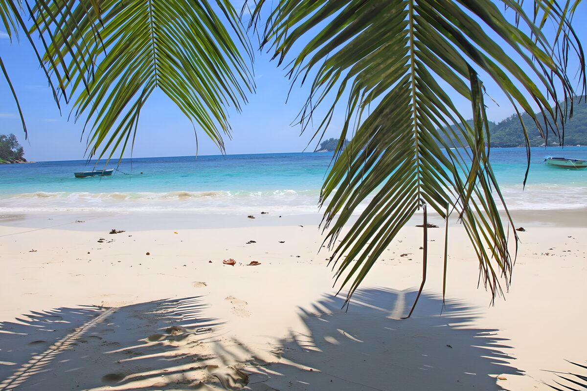 OCUK76246: Tranquil Beach Escape