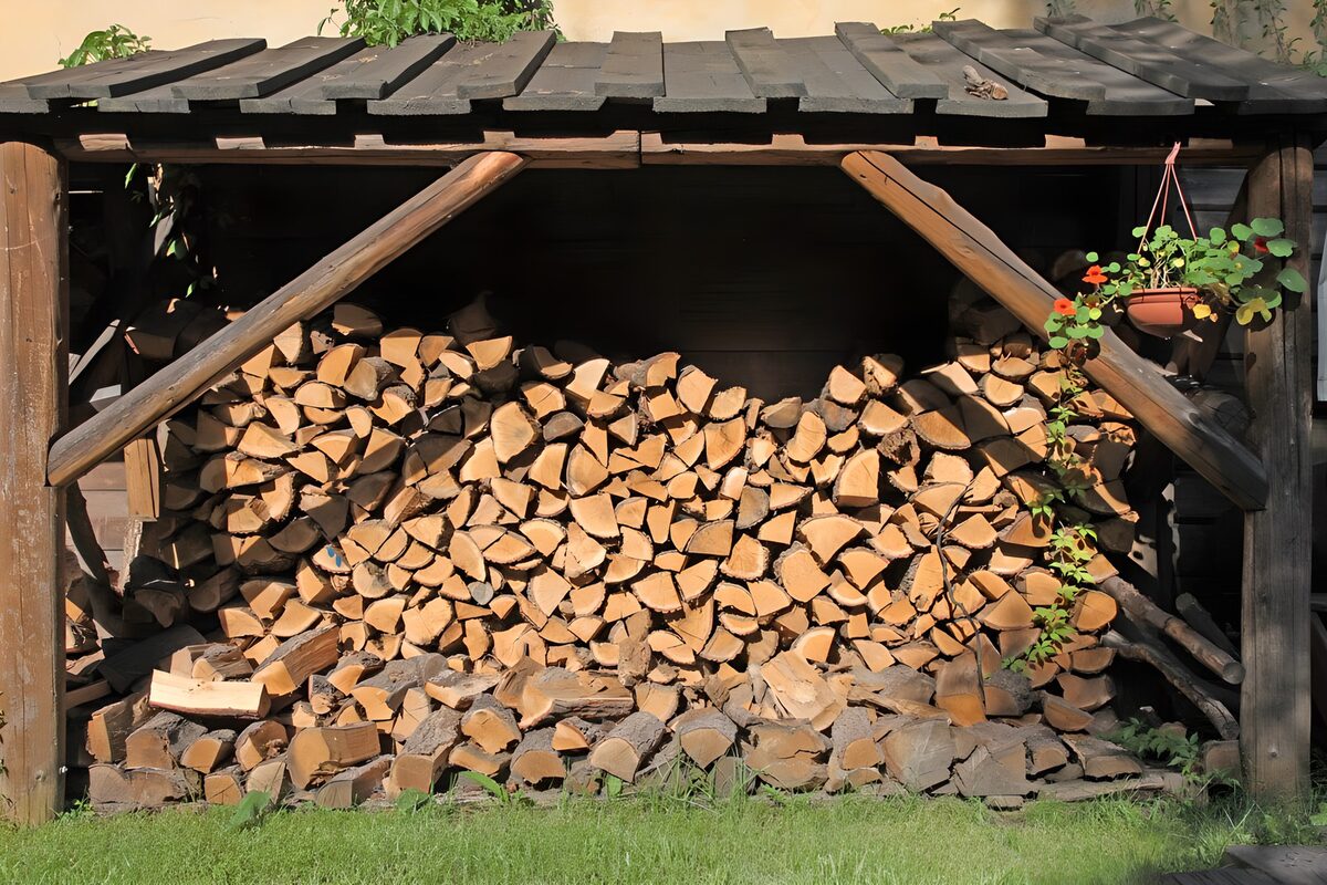 OCUK36688: Neatly Stacked Firewood Shelter