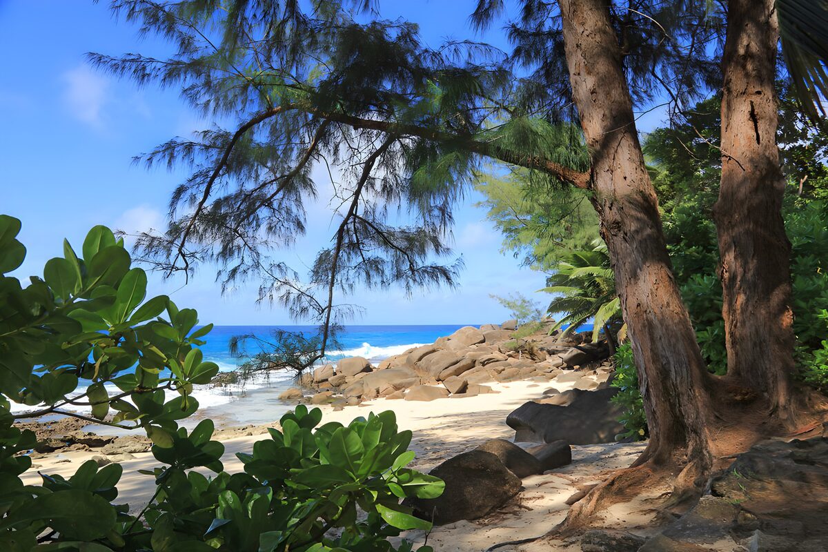 OCUK54826: Serene Coastal Retreat