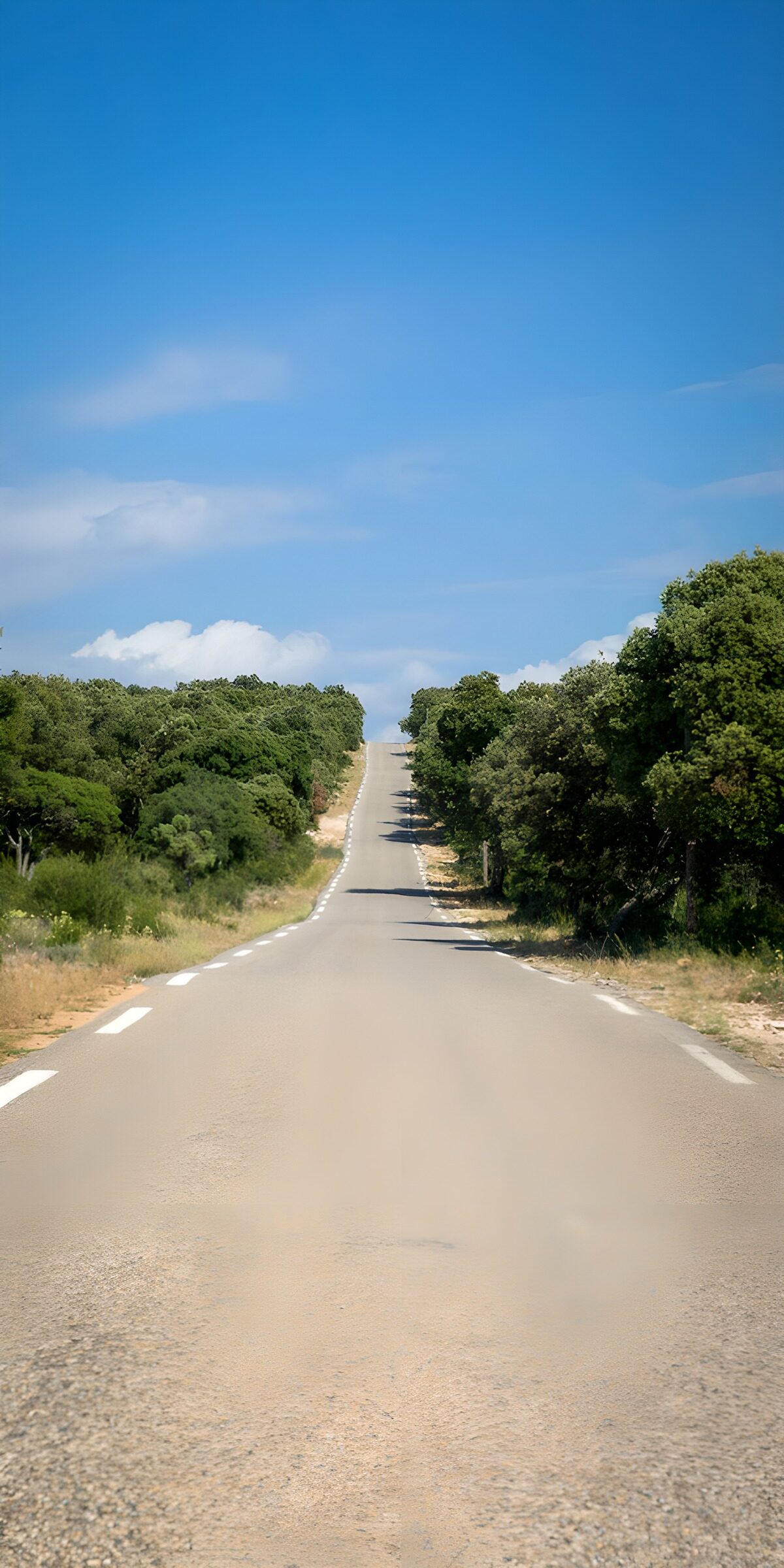 OCUK10765: Endless Country Road in Bright Sunshine