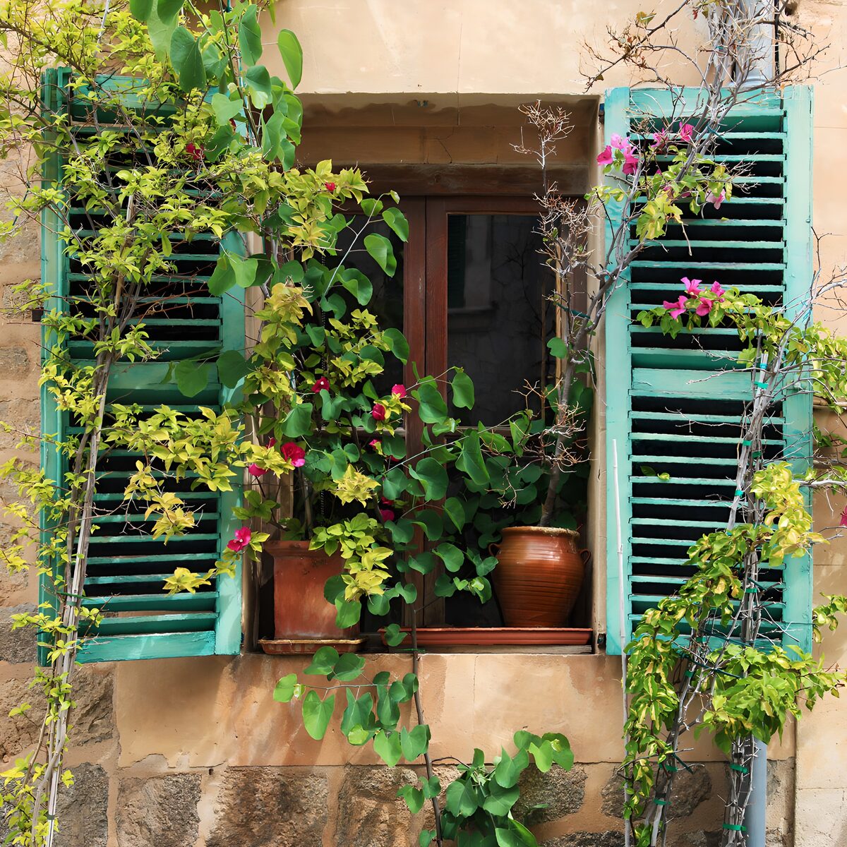 OCUK61109: Charming Window with Lush Greenery