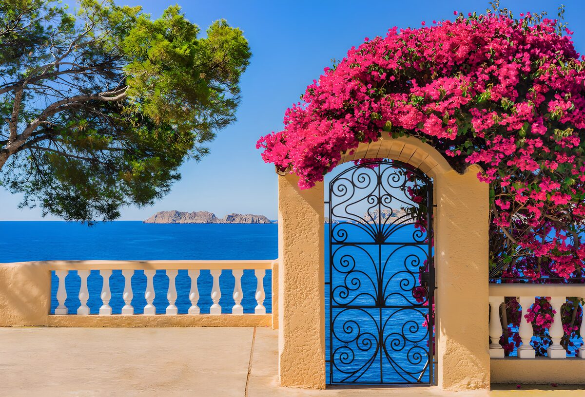 Serene Coastal Gate with Bougainvillea