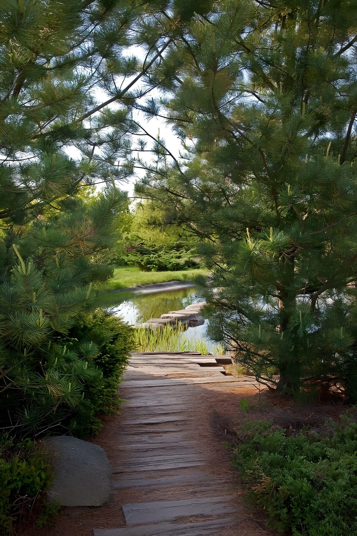 OCUK91085: Tranquil Garden Pathway