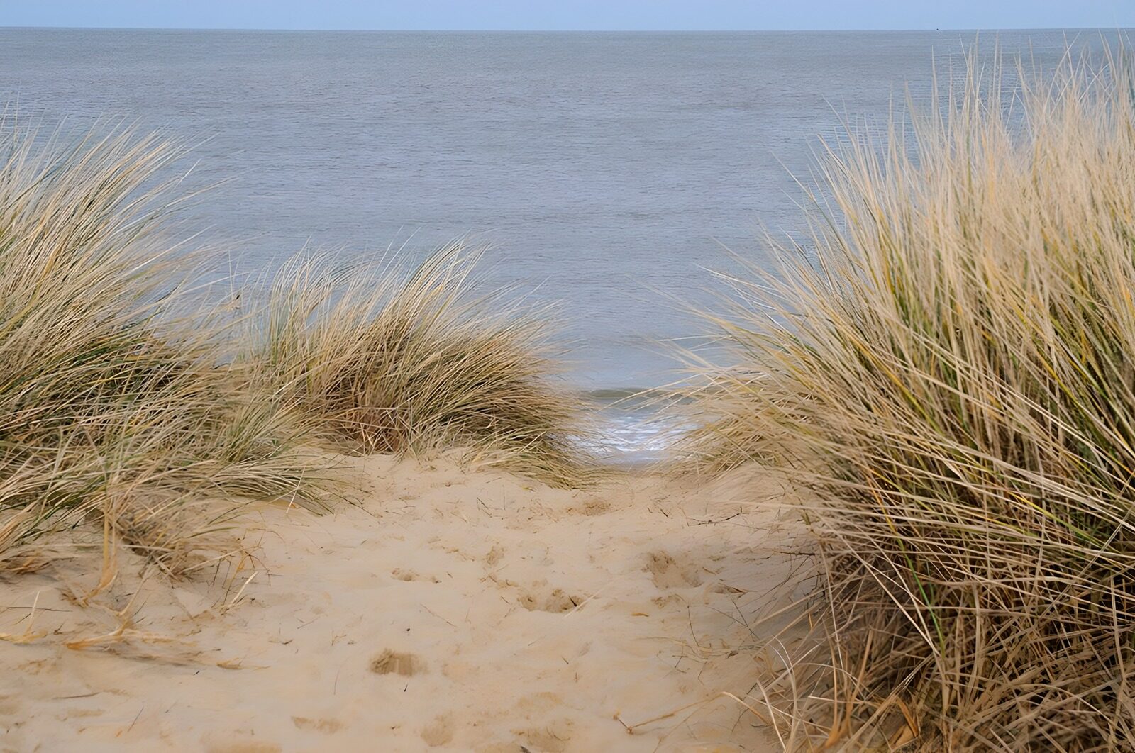OCUK14593: Pathway to the Sea