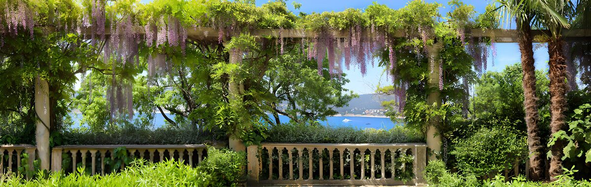 OCUK14821: Serene Garden Overlooking the Sea